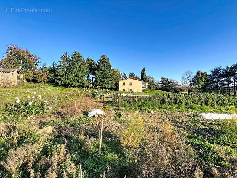 Terrain à SAINT-UZE