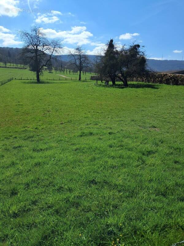 Photo 1 - Terrain à HYEMONDANS