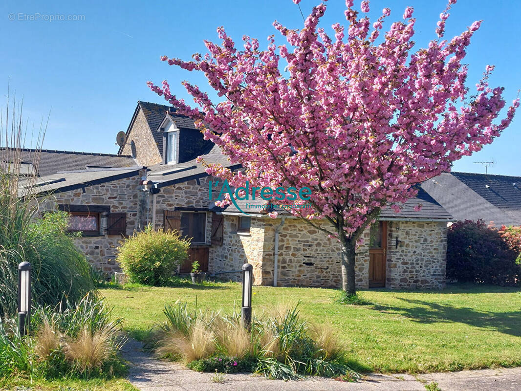 Maison à SAINT-AUBIN-DES-CHATEAUX