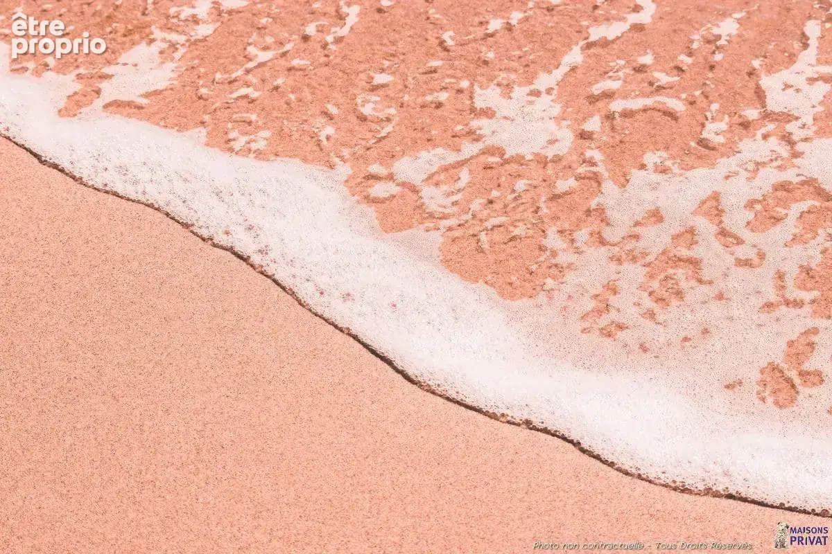 Terrain à LA GUERINIERE