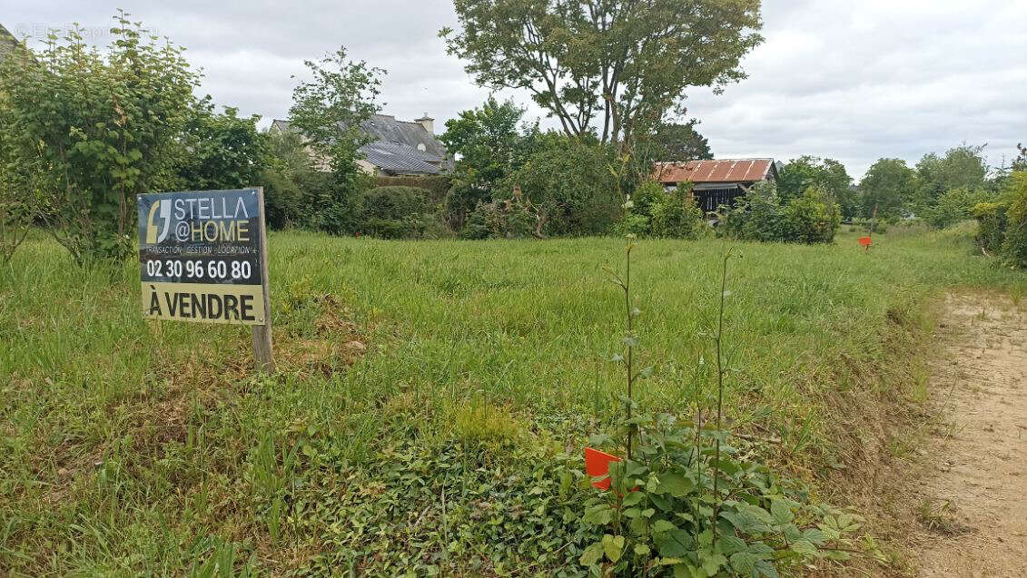 Terrain à PLAINE-HAUTE