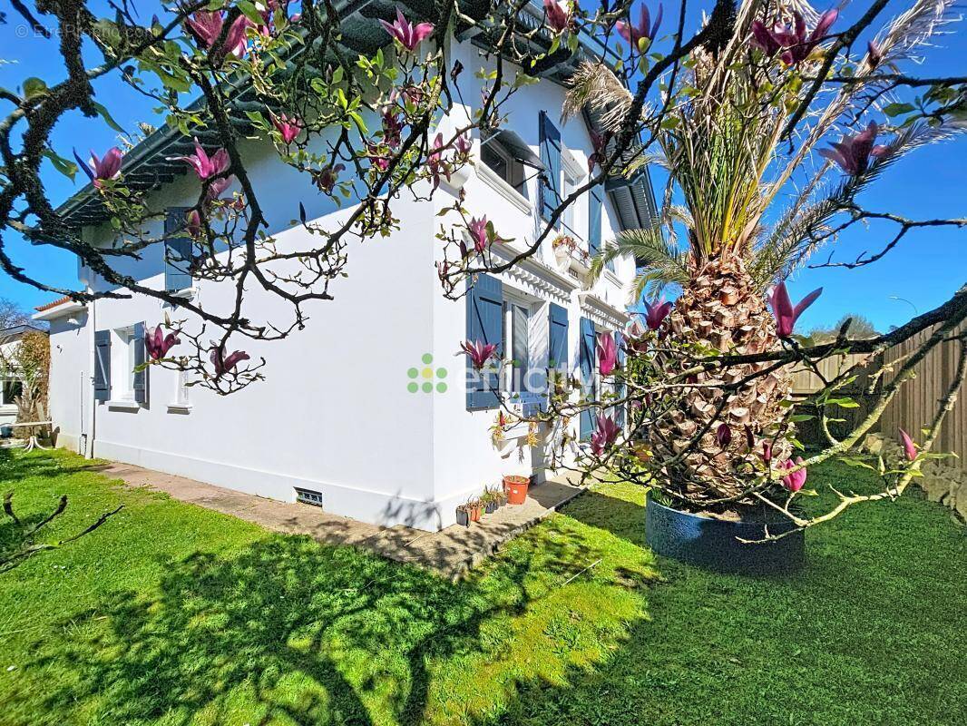 Maison à SOUSTONS
