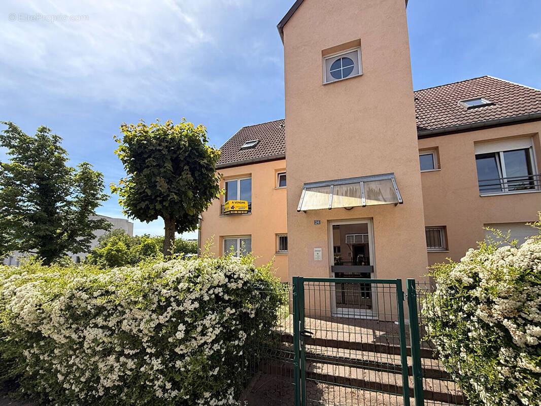 Appartement à WITTELSHEIM