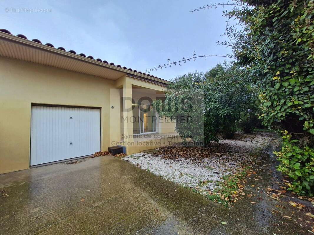 Maison à FRONTIGNAN