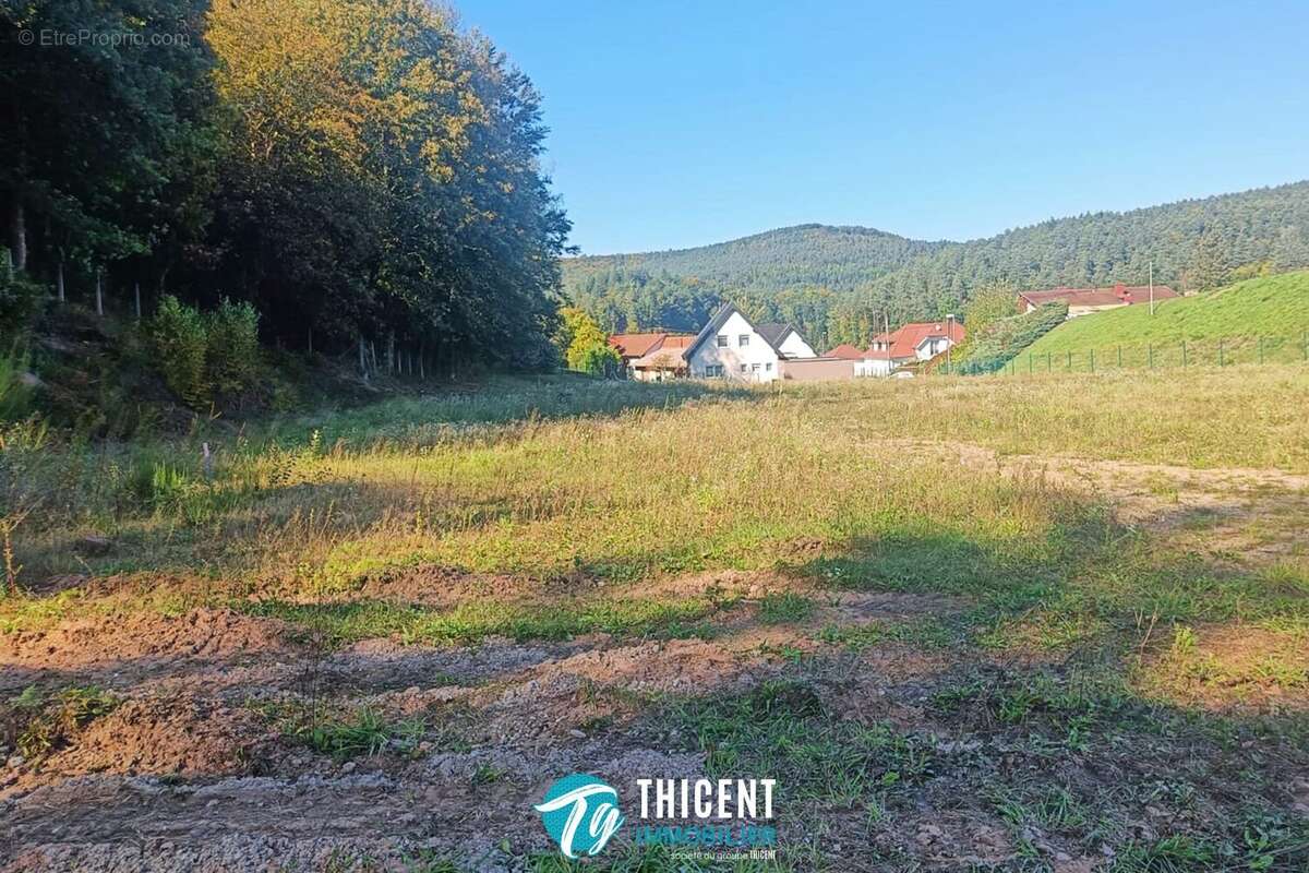 Terrain 5243 m² à Ingwiller  - photo 2