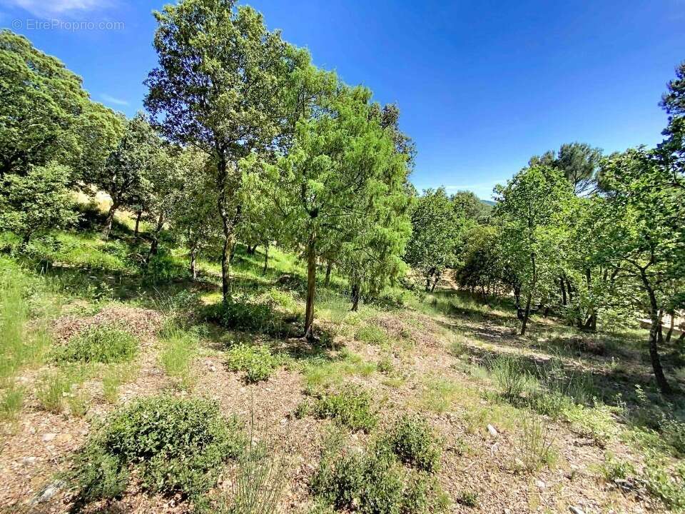 Terrain 2000 m² à Puget  - photo 3