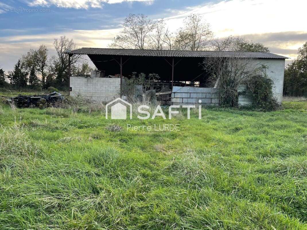 Photo 3 - Maison à MONTAUBAN