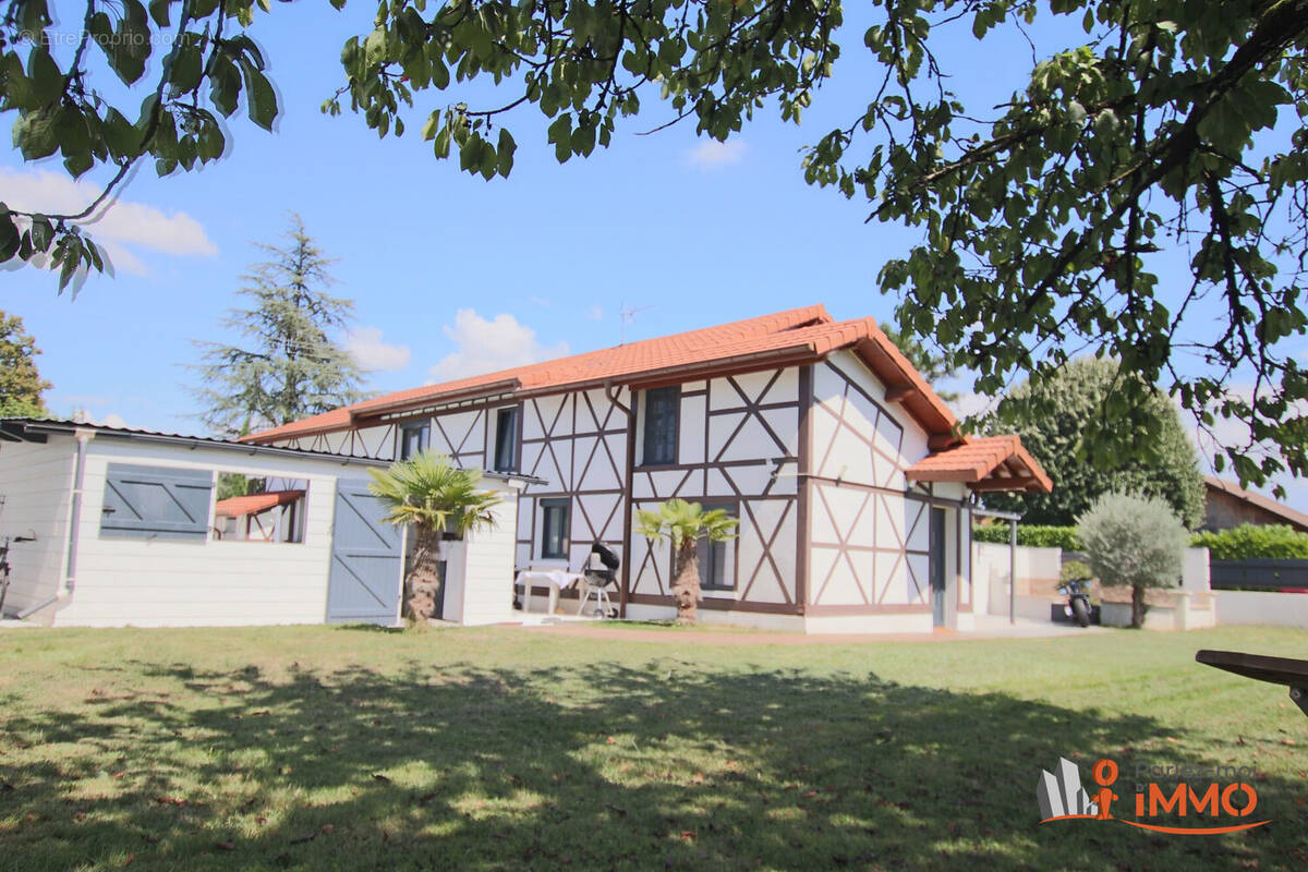 Maison à VILLIEU-LOYES-MOLLON