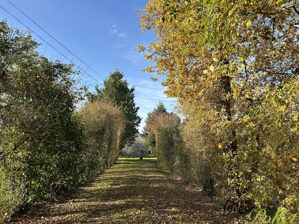 Maison à POILLY-LEZ-GIEN
