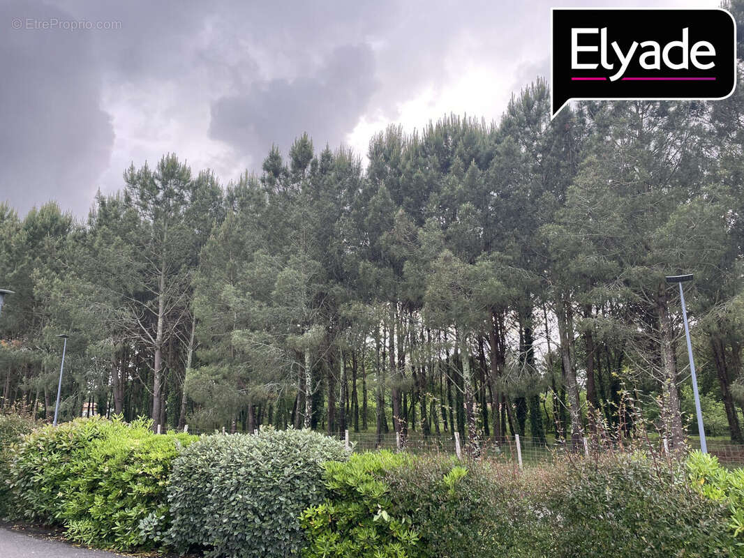 Appartement à BENESSE-MAREMNE