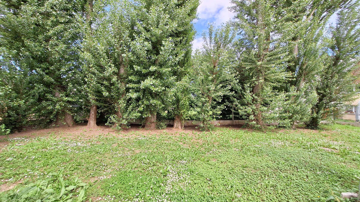 Terrain à ZAESSINGUE