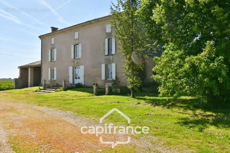 Propriété à vendre 14 pièces PAILLE (17) sur 4800m² de terrain avec nombreuses dépendances - photo 13