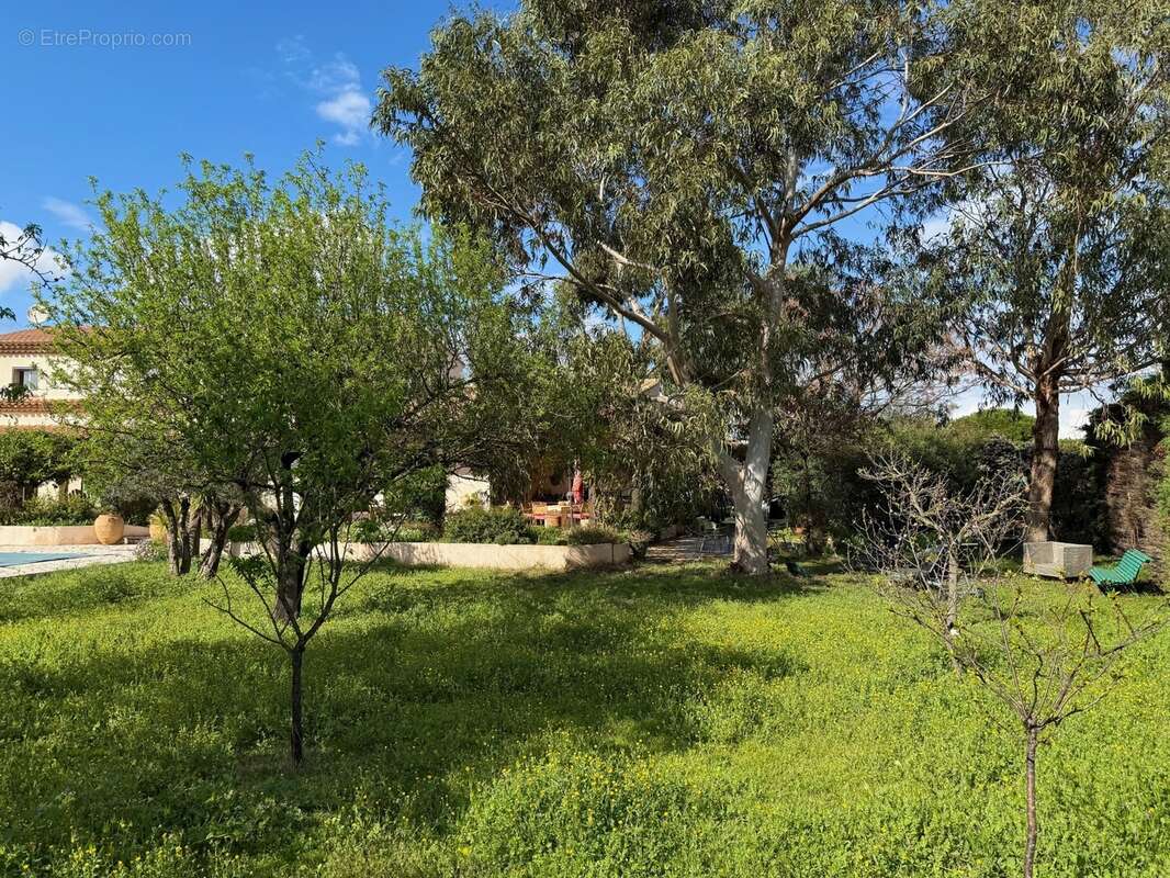 Une propriété introuvable : 2 159 m² de jardin privé au cœur de narbonne - photo 18