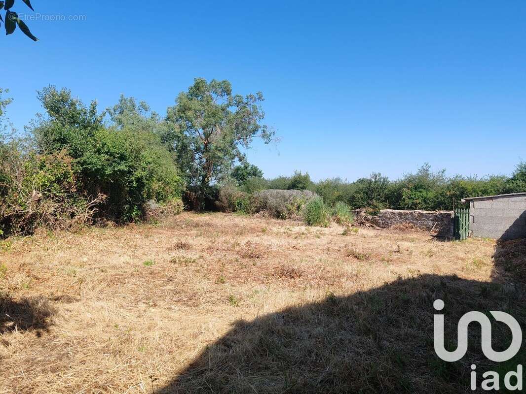 Photo 6 - Terrain à ARGENTON-CHATEAU