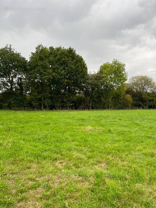 Terrain à ALENCON