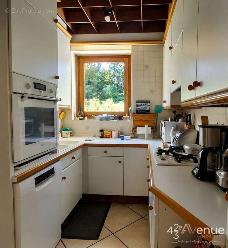 Maison 241 m² à Saint-Martin-La-Plaine  - photo 8