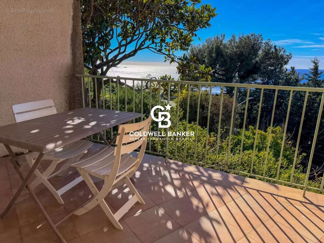 Villa vue mer, domaine privé - 83320 Carqueiranne - photo 10