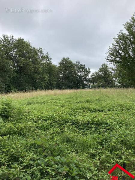 Terrain à CHABRIGNAC