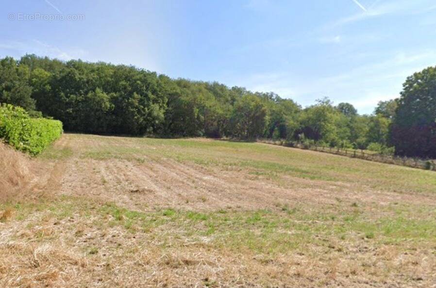 Terrain à SAINT-SULPICE-DE-FAVIERES