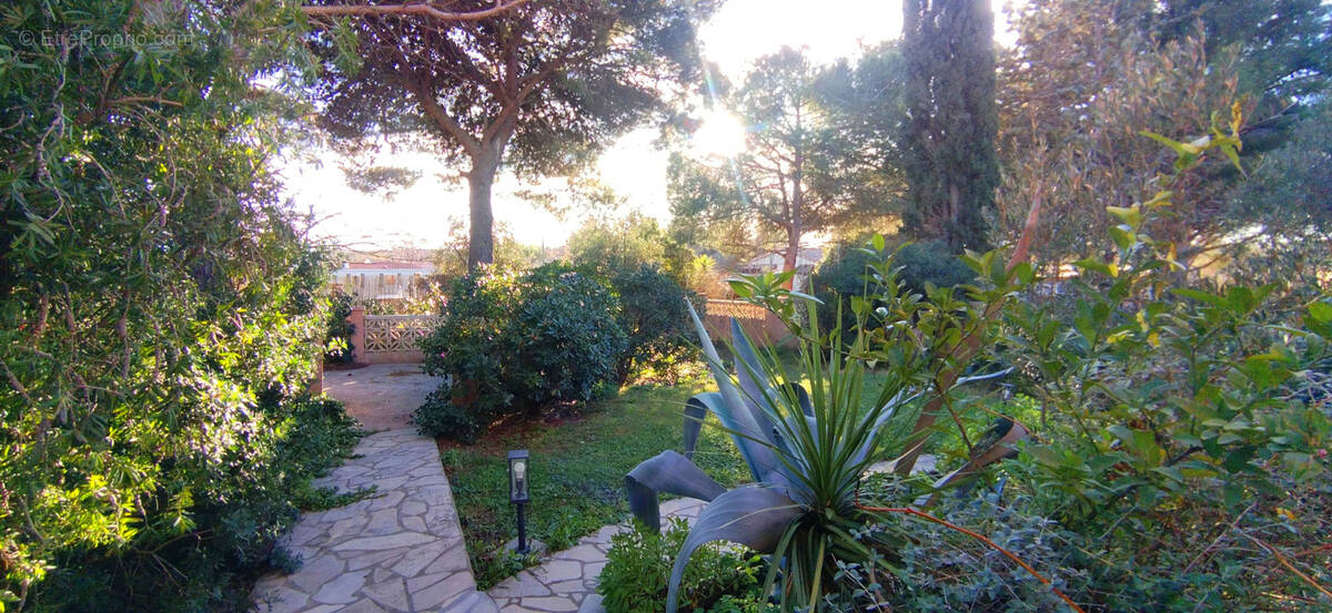 Maison à MARSEILLAN