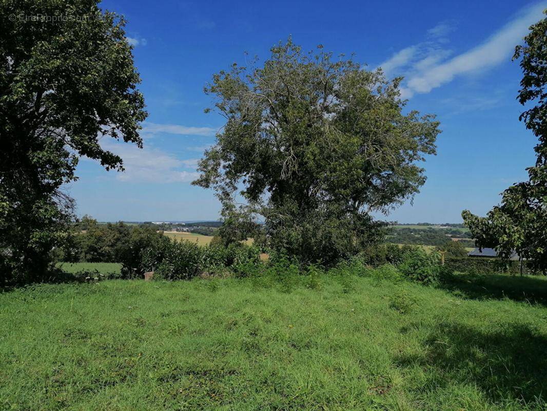 Terrain à CARO
