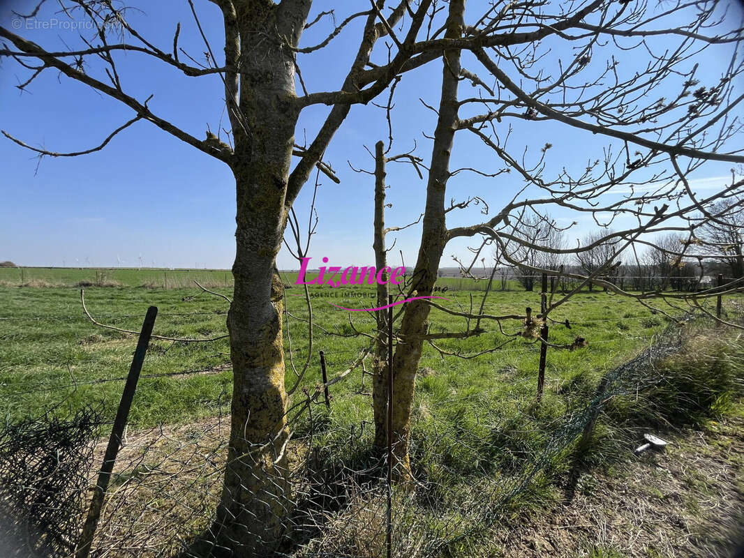 Terrain à CROISILLES
