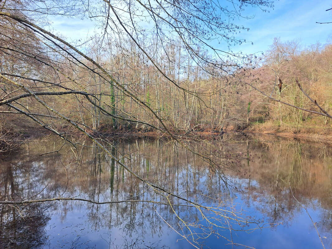 Terrain à SAINT-CALAIS