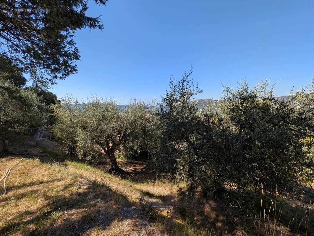 Maison à L&#039;ESCARENE