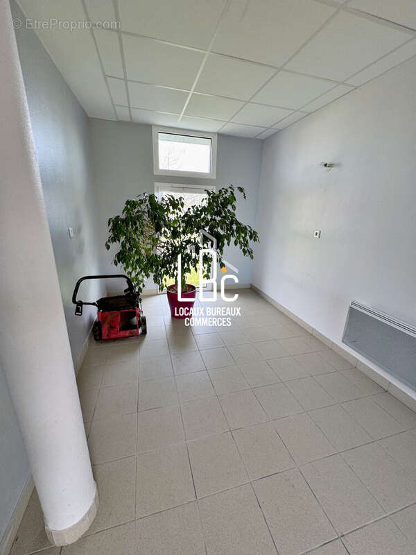 Commerce à SAINT-HILAIRE-DE-CHALEONS