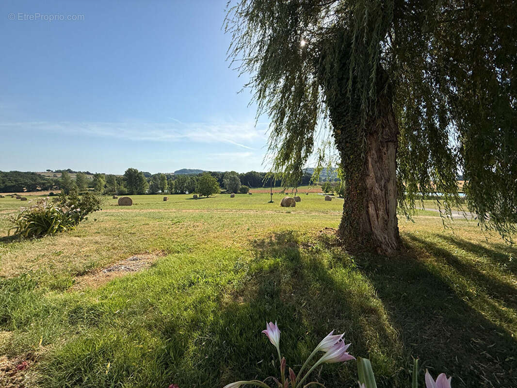 Maison en pierre avec dépendances, calme et nature - photo 5