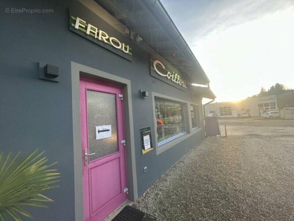 Commerce à SAINT-ALBAN-DE-MONTBEL