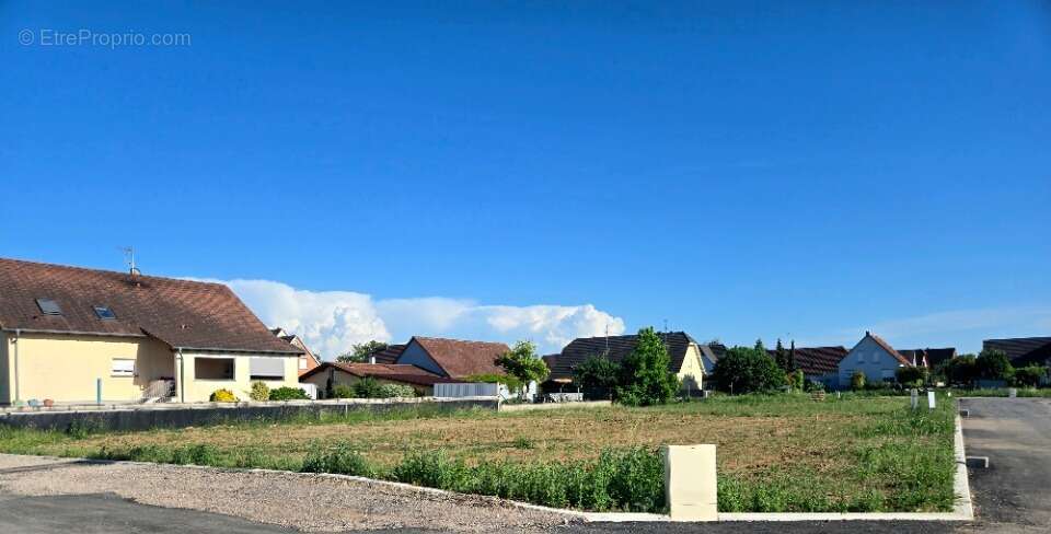 Terrain à BINDERNHEIM