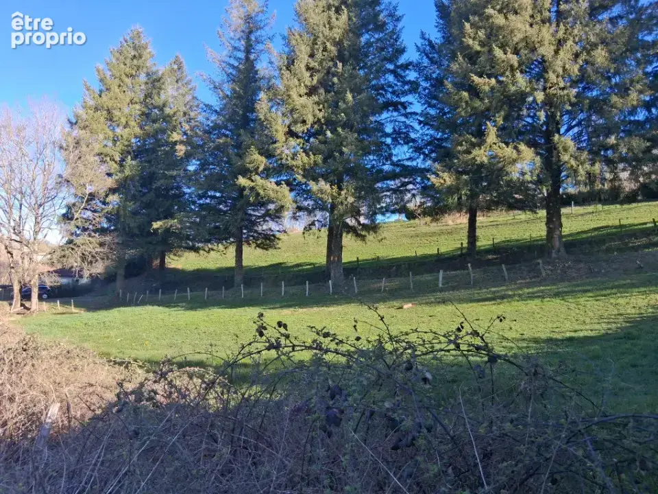 Terrain 1 630 m² à vendre à Reilhac (15250) - photo 2