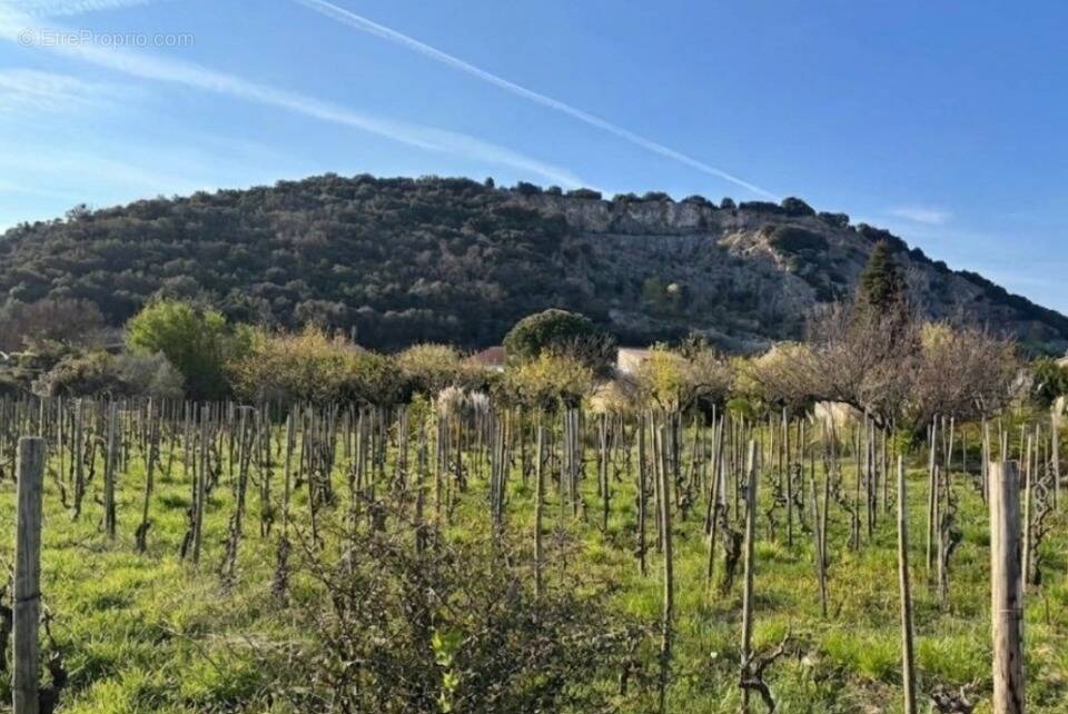 Terrain à CORNAS
