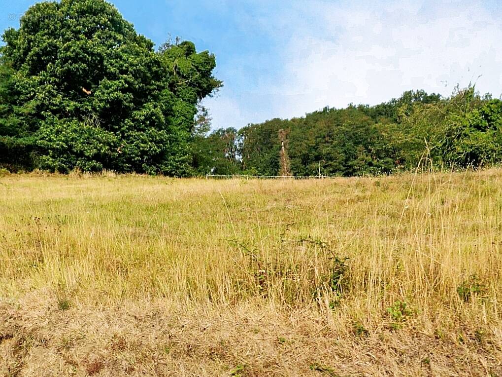 Terrain à SARLAT-LA-CANEDA
