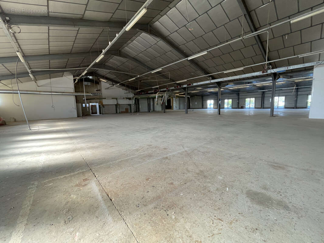 Commerce à HAUTERIVES