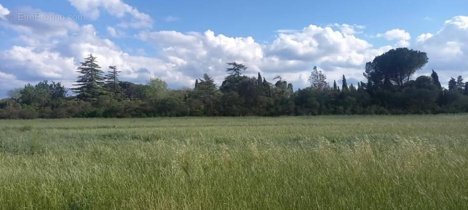 Terrain à CRUSCADES