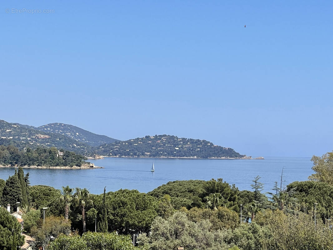 Maison à LE LAVANDOU