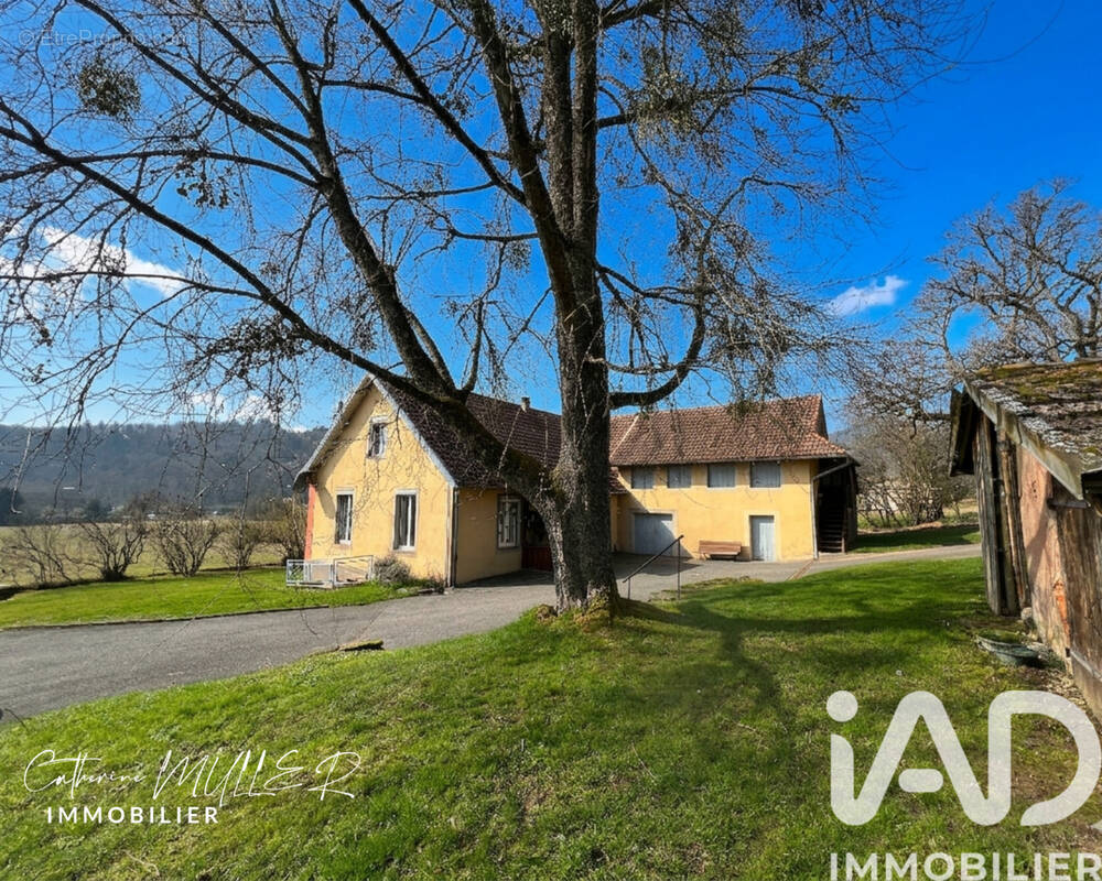 Photo 1 - Maison à ETUEFFONT