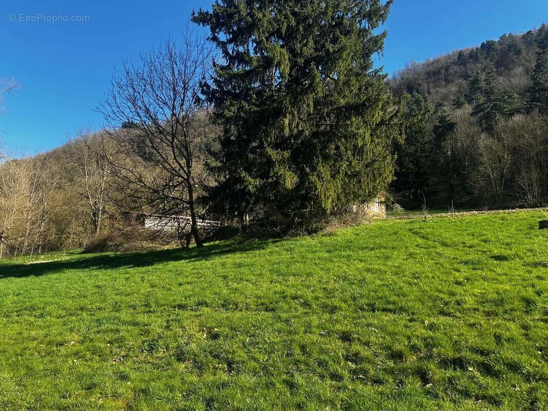 Maison à BOUCIEU-LE-ROI