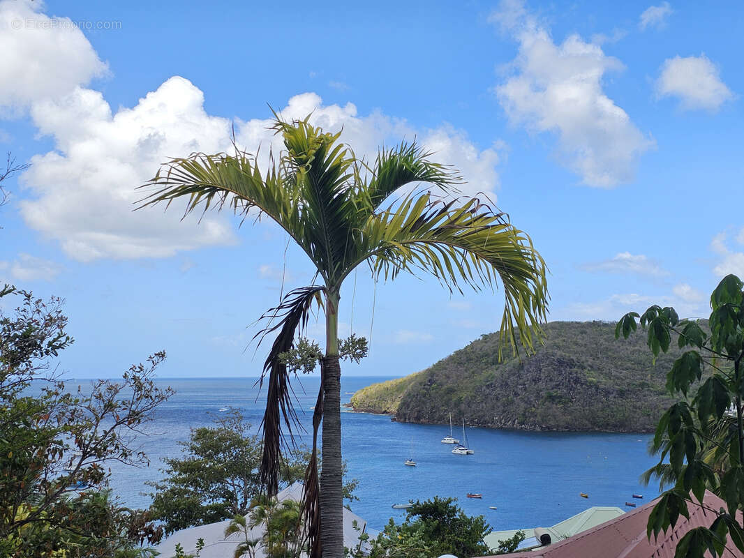 Maison à LES ANSES-D'ARLET