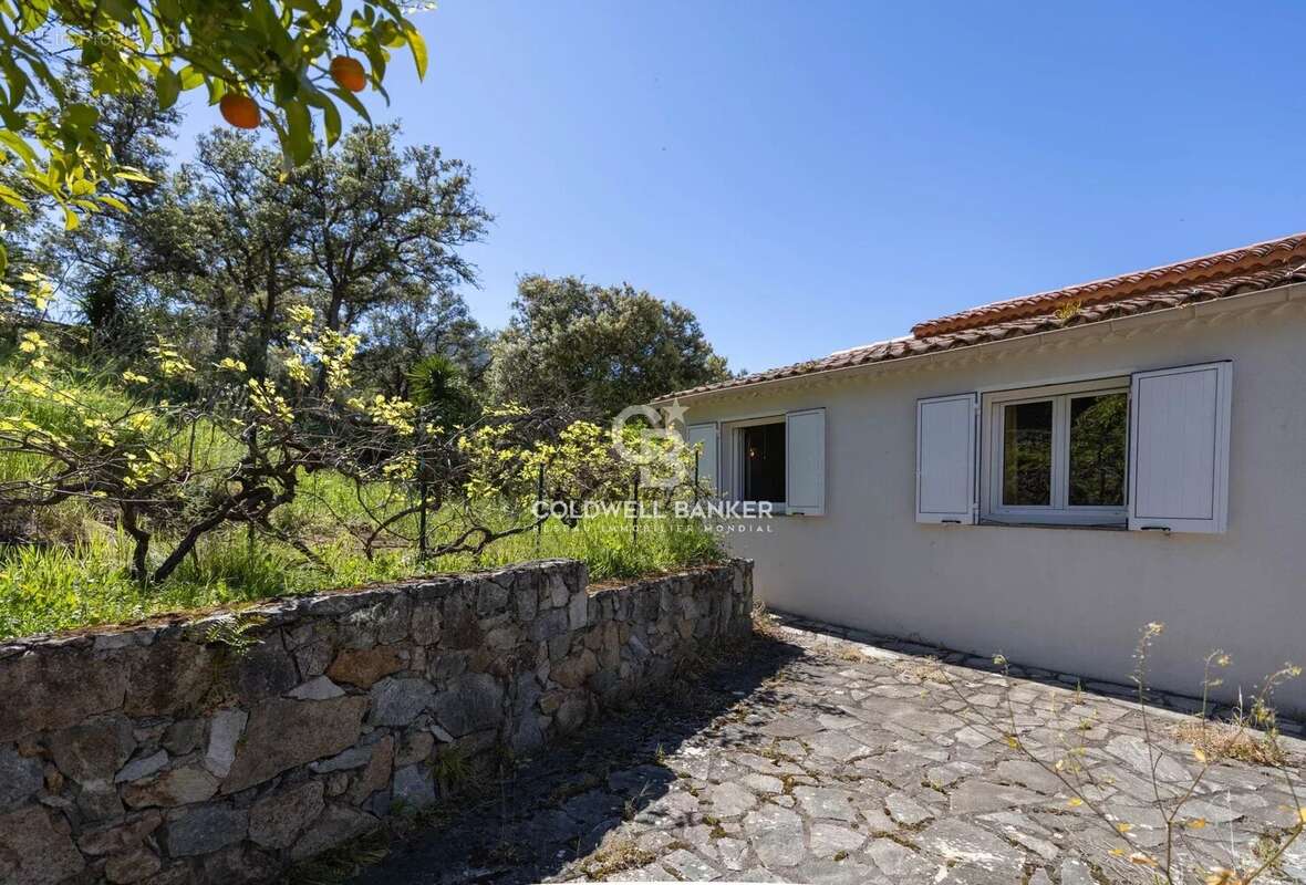 Maison à L'ILE-ROUSSE