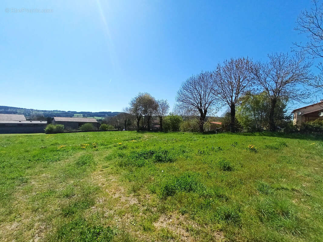Terrain à CHOMELIX