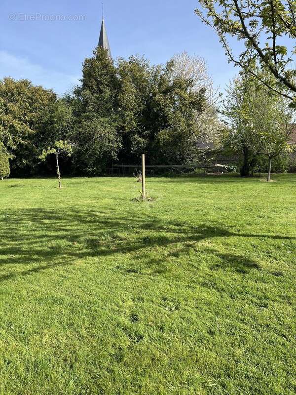 Terrain à ROTS