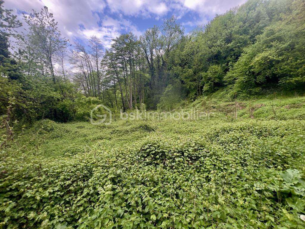 Terrain à LES CHAVANNES-EN-MAURIENNE