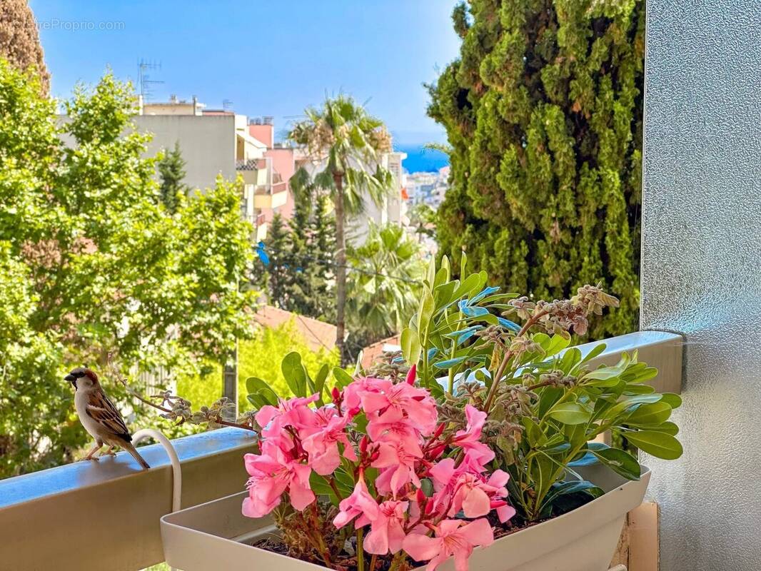 Appartement à LE CANNET