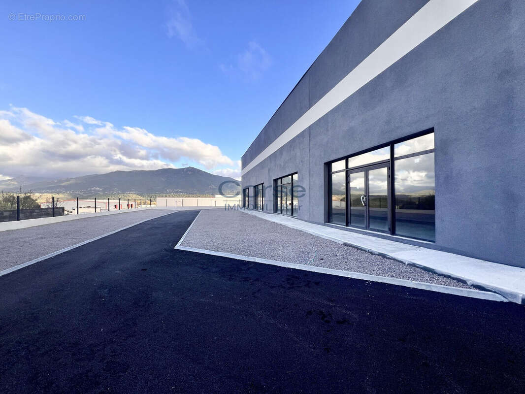 Commerce à SARROLA-CARCOPINO