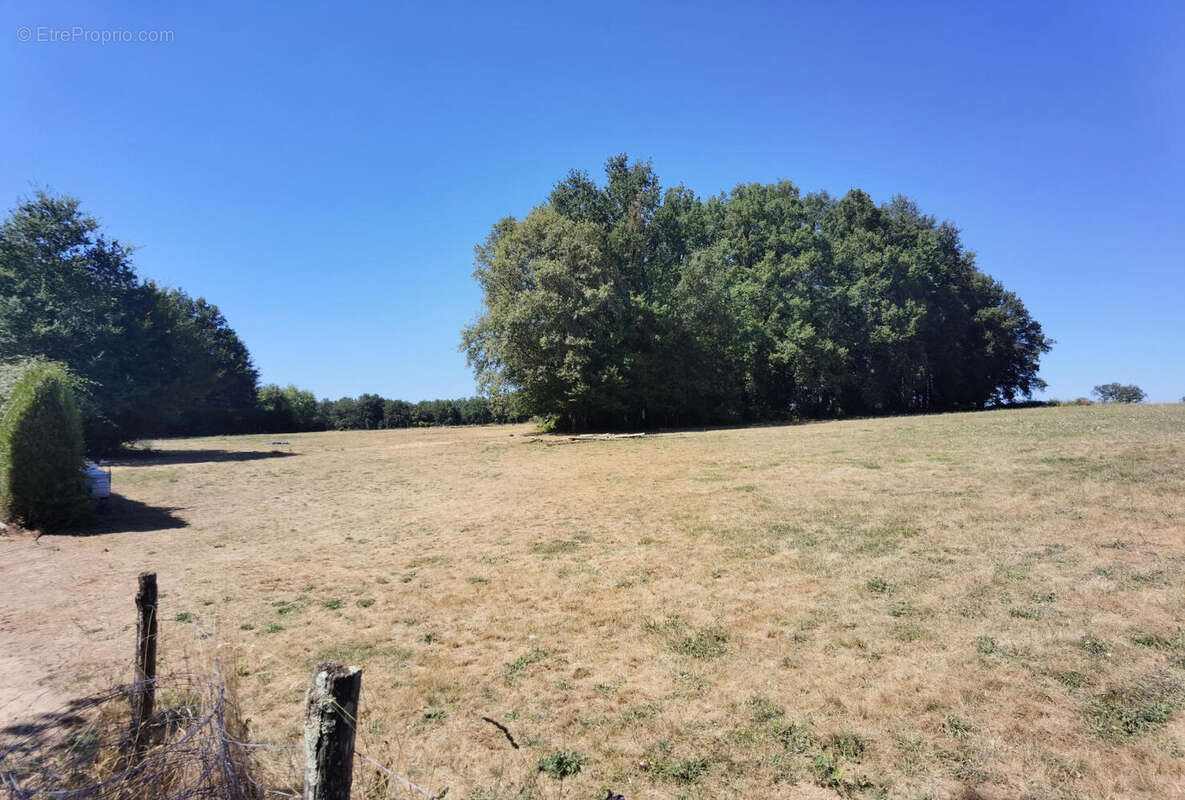 Terrain à développer - Commerce à JUMILHAC-LE-GRAND