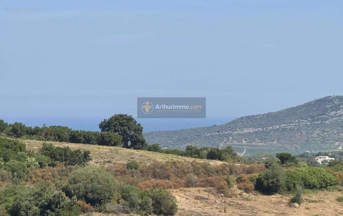 Appartement à OLETTA