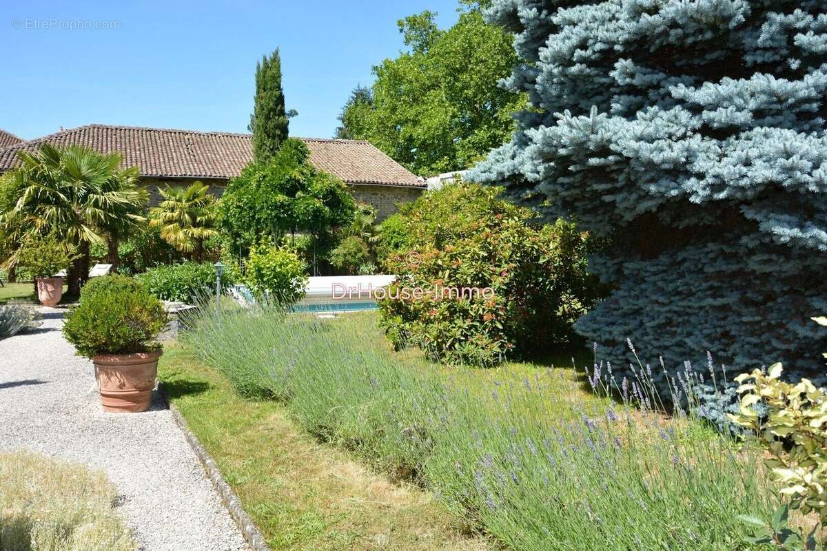 Maison 267 m² à Les Cars  - photo 15